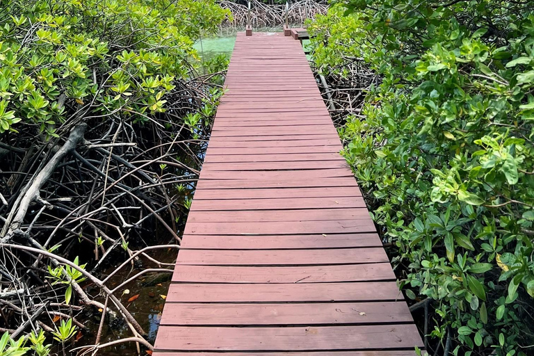 Aruba: Snorkeling and Beach Boat Tour with Lunch and Openbar