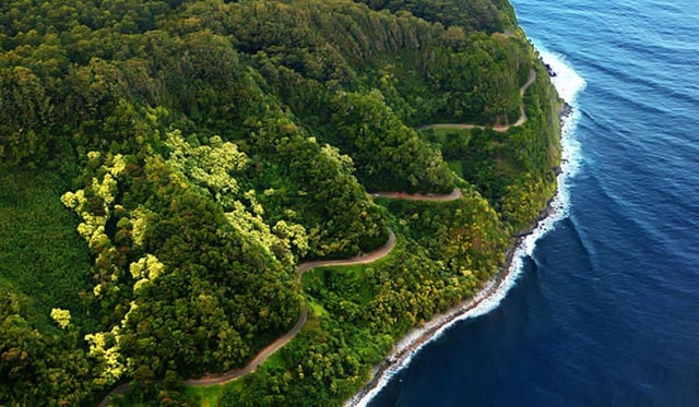 La route de Hana : Guide professionnel, nourriture, baignade, chutes d&#039;eau