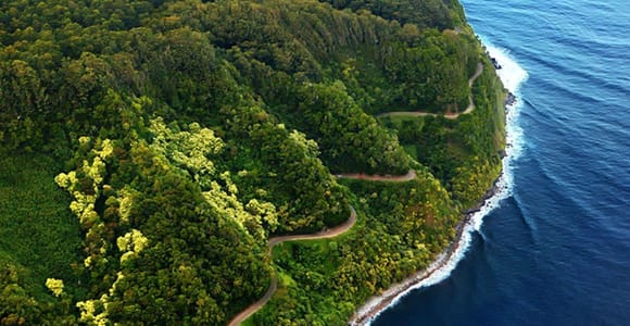 Road to Hana: Professional Guide, Food, Swimming, Waterfalls
