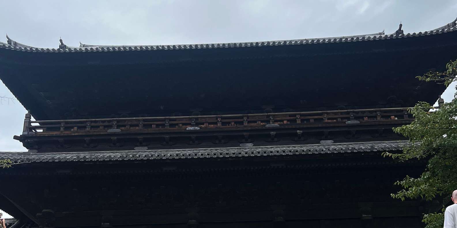 Kyoto experience — temples, geisha, bamboo grove — image 84