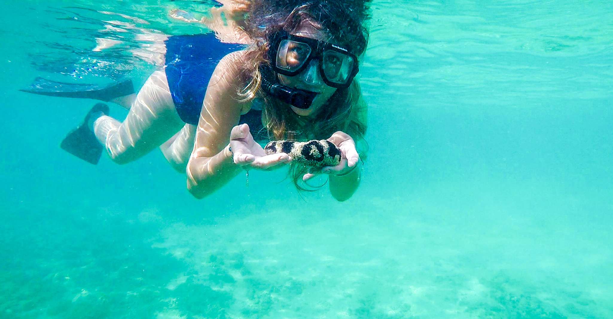 San Juan, tour di nuoto e snorkeling con tartarughe - Hizvo