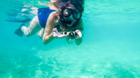 San Juan, tour di nuoto e snorkeling con tartarughe - Hizvo