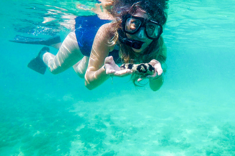 Puerto Rico: Snorkeling with Turtles Adventure