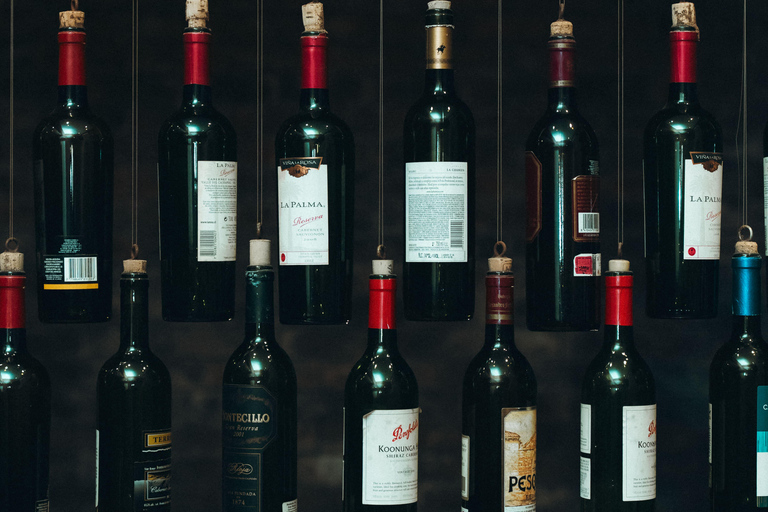 San Jose Exclusive Wine Journey Tour with Tastings