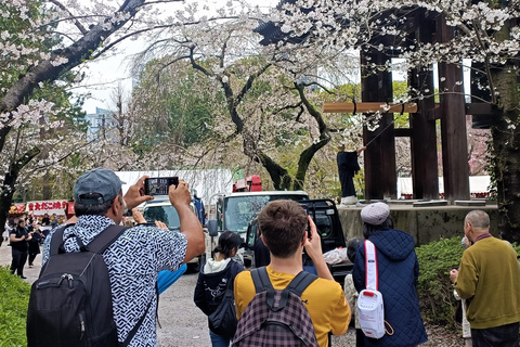 Tokyo: Highlights Walking Tour from Tsukiji to Tokyo Tower Tokyo: Tsukiji Market to Tokyo Tower 4hrs Walking Tour