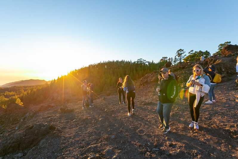 テネリフェ島 テイデ国立公園 天体観測体験 Getyourguide