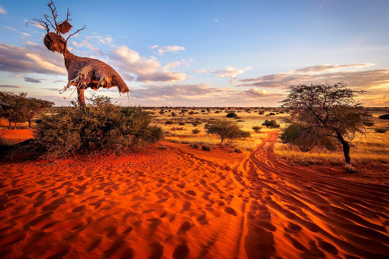 10 Days Beauty of Namibia | Guided Camping