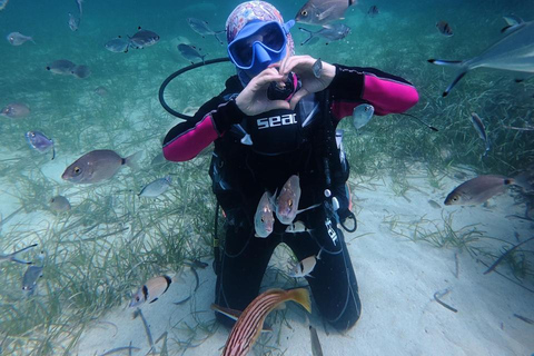 Mahdia: Guided Medina Tour and Scuba Diving Experience