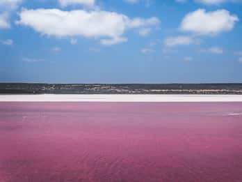 Da Valencia: Laguna Rosa e Alicante, colori, mare e sole