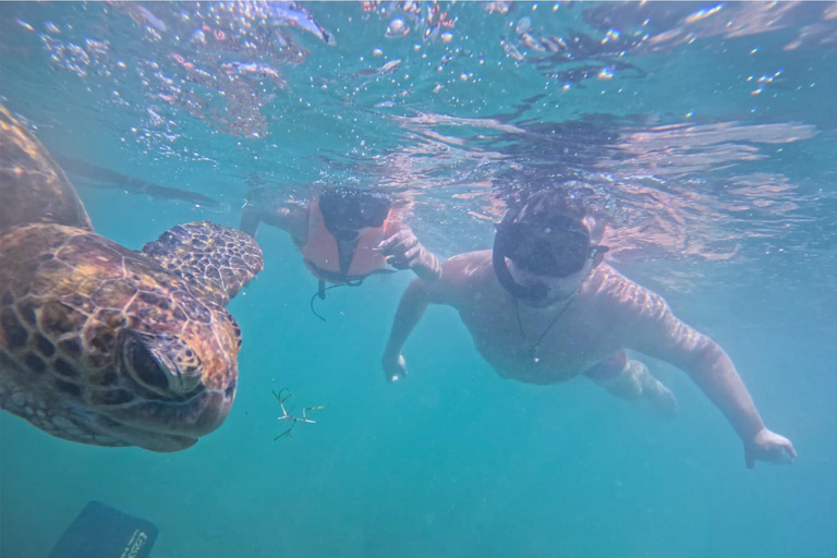 Mirissa: Sea Turtle Snorkeling Tour, GoPro & 100% Guarantee