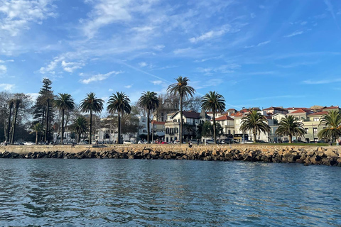 Porto: Private Douro River Yacht w/ Wines & Gourmet Tasting