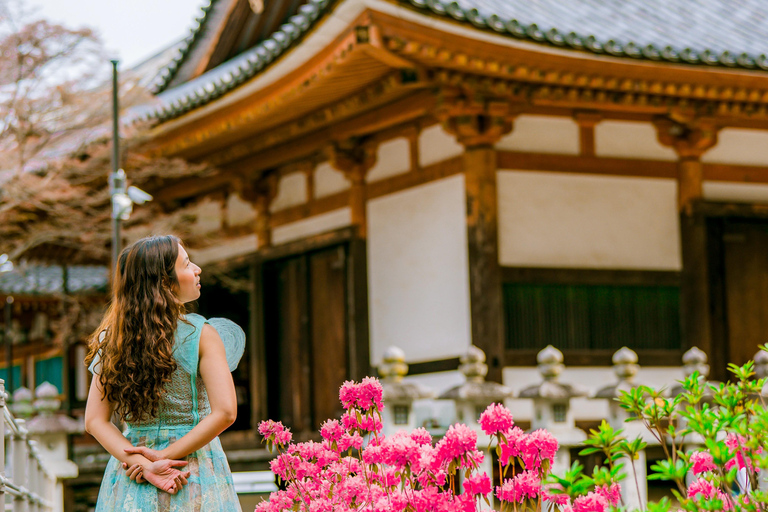 Nara Cherry Blossom Highlights Spring Day Tour from Osaka Shared Tour, Meet at Tsurutontan Soemoncho