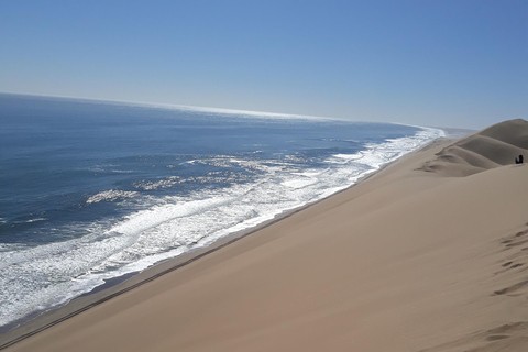 Walvis Bay: Ganztagestour mit Kajak und Sandwich Harbour