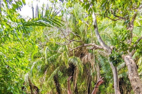 Moshi: Excursión de un día a las Termas de Chemka con almuerzo