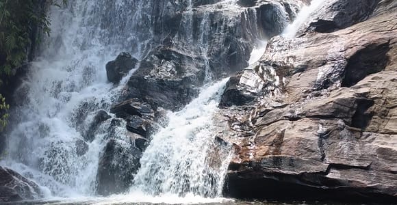 Sinharaja-Regenwald: Tour mit Wanderung zu 5 Wasserfällen