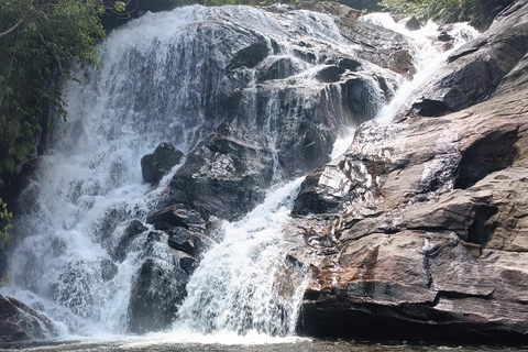 Sinharaja-Regenwald: Tour mit Wanderung zu 5 Wasserfällen