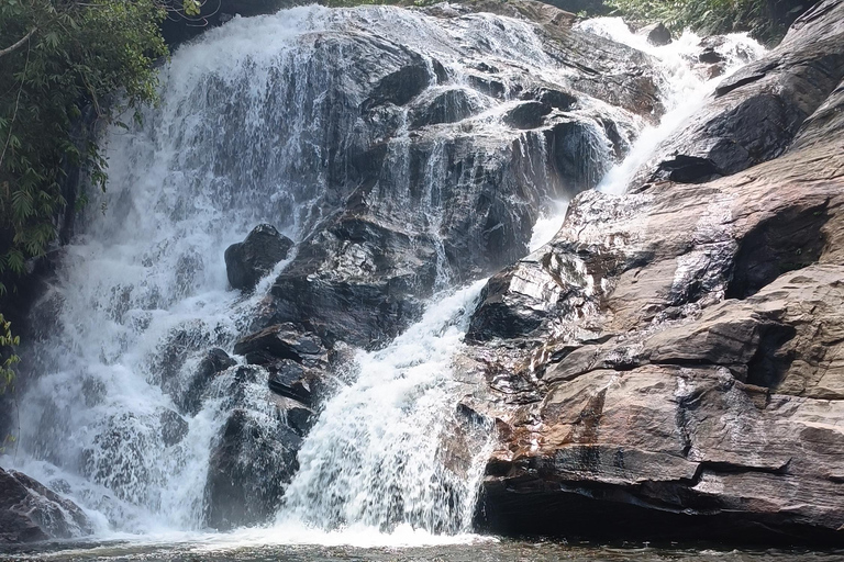 Sinharaja-Regenwald: Tour mit Wanderung zu 5 Wasserfällen