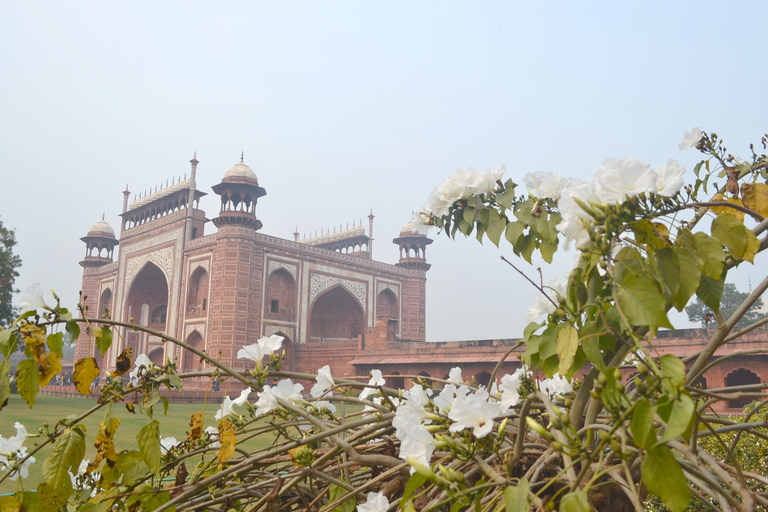 Same Day Agra tour from Delhi