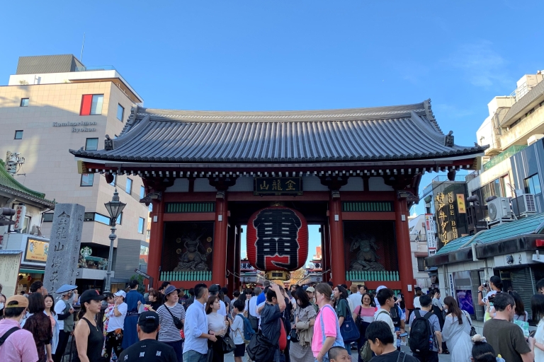 Tokio: 1-daagse privétour op maat door Tokio