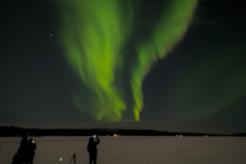 Rovaniemi: Northern Lights Hunt with Local Guides