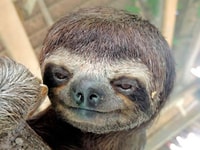 Fantastic jungle 3 days 2 nights - Housity