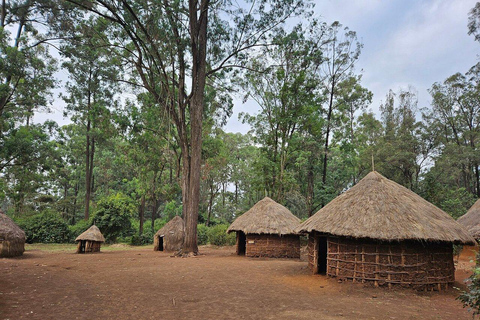 Kenyan Rhythms in Nairobi: Music, Dance & Cultural Heritage