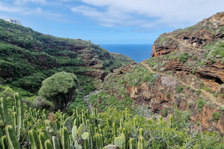 The Wildest Side of La Palma: Hiking into the Past in Garafía La Palma + Salvaje: A Journey into the Past amidst Remote Landscapes
