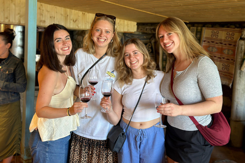 Tbilisi: Kakheti Wine Region Tour with 8 Wine Tastings