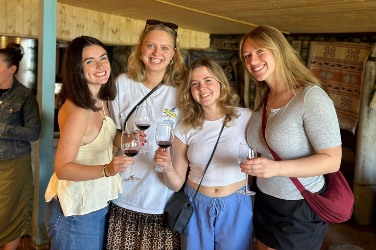 Tbilisi: Kakheti Wine Region Tour with 8 Wine Tastings