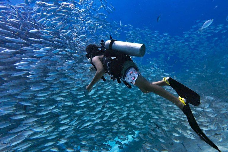 Phuket: Racha Yai Scuba Diving & Snorkeling Experience Fun Dive – 2 Dives (Certified Diver, No Equipment)