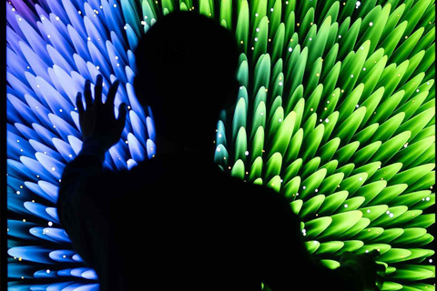 NYC: ARTECHOUSE Immersive Art Experience Entrance Ticket