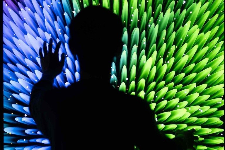 NYC: ARTECHOUSE Immersive Art Experience Entrance Ticket