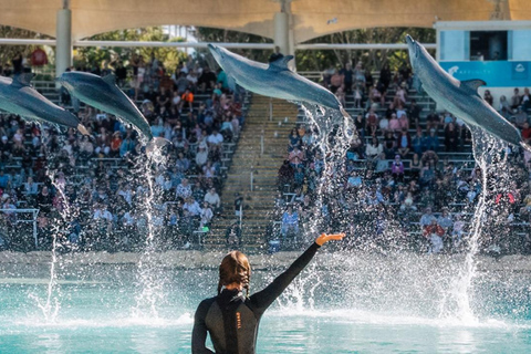 Sea World Entry Ticket with Rides and Shows