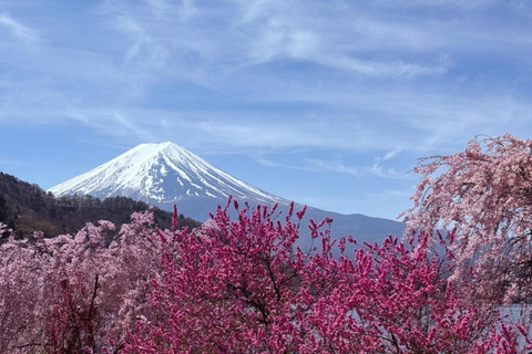 From Tokyo: Private Mt. Fuji SNS Photo Tour by Luxury Car