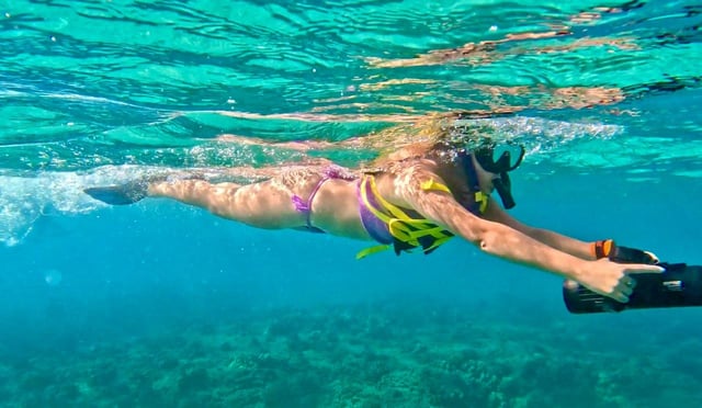 West Palm Beach: Excursión de snorkel en jet para principiantes con vídeos