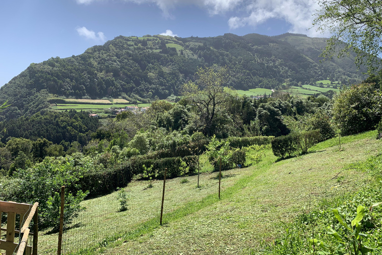 São Miguel: Wycieczka Salto do Prego i wodospad z piknikiem nad morzemSão Miguel: Wycieczka do wodospadu Salto do Prego i piknik nad morzem