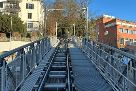 Zurich: 3-Hour Walking Tour with a Local Guide