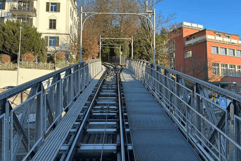 Zurich: 3-Hour Walking Tour with a Local Guide