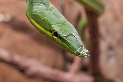 As maravilhas do vulcão Poas e os jardins da cascata de La Paz