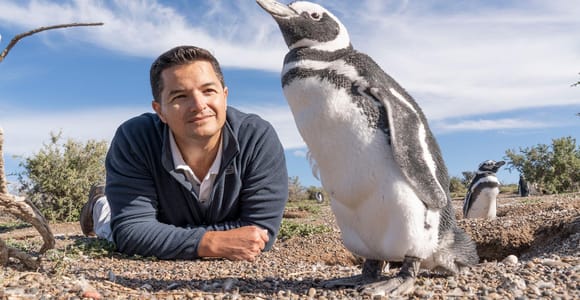 Ushuaia: tour de día completo por isla Martillo – Camina entre pingüinos