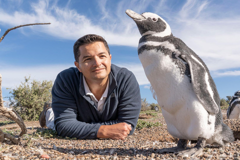 Ushuaia: Martillo Island Full-Day Tour – Walk Among Penguins