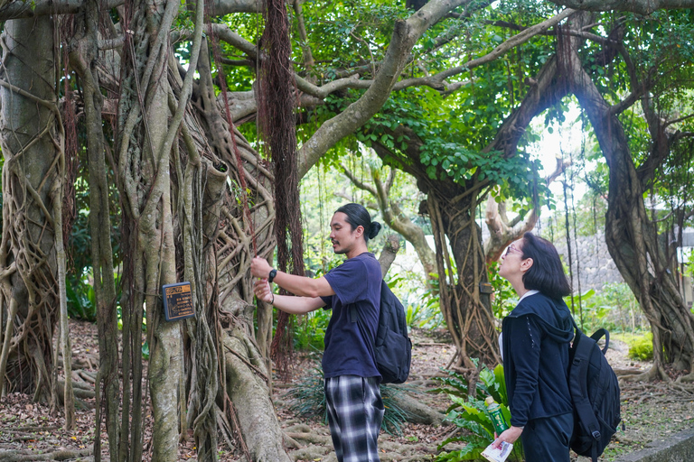 Naha: Okinawa Shuri Castle Peace Walking Tour