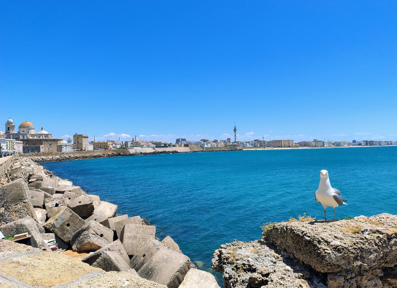 Cádiz: 90 minutters byvandring med en lokal guide