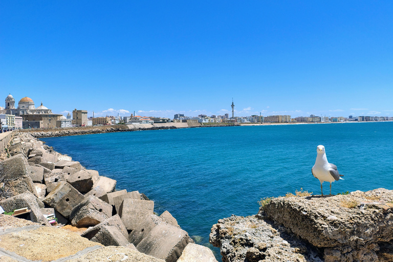 Cádiz EssentialsCádiz Essentials: En 90-minuters resa till stadens hjärta
