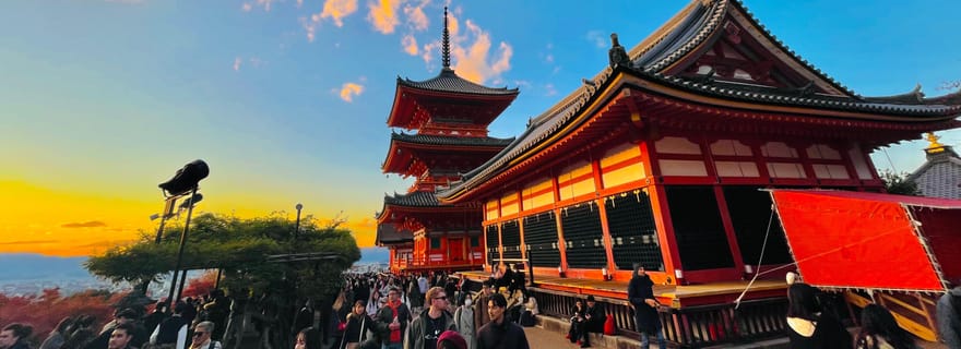 Visite guidée privée et personnalisée de Kyoto avec un véhicule pratique