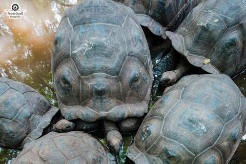 Zanzibar : île prison, sanctuaire des tortues marines + plage de MtendeVisite privée avec transfert et frais inclus
