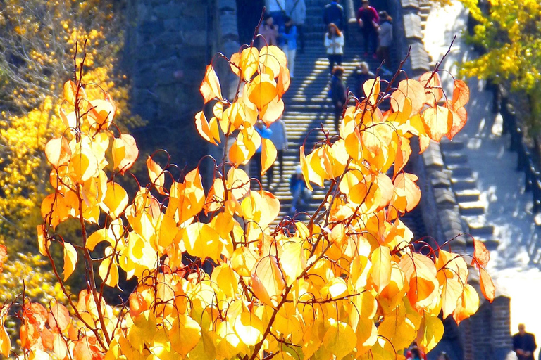 Beijing: Mutianyu Grote Muur dag bustour met tickets