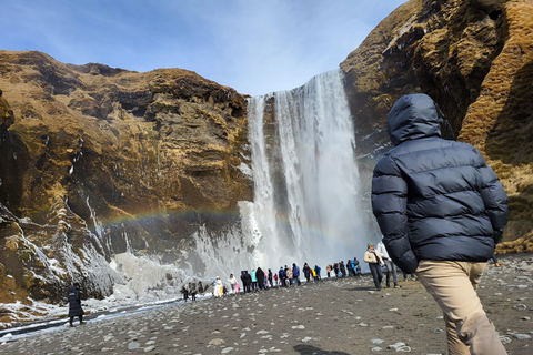 South Coast, Iceland: Day Private Tour