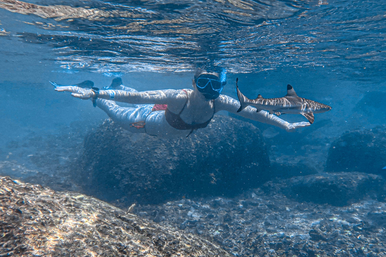 Koh Tao: Snorkel with Turtles at Nangyuan with Fewer Crowds