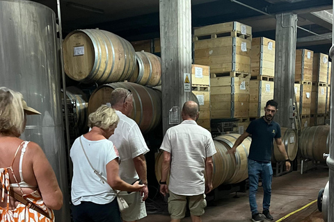 Catania: Wine Tour Wine Tour 7 Goblets